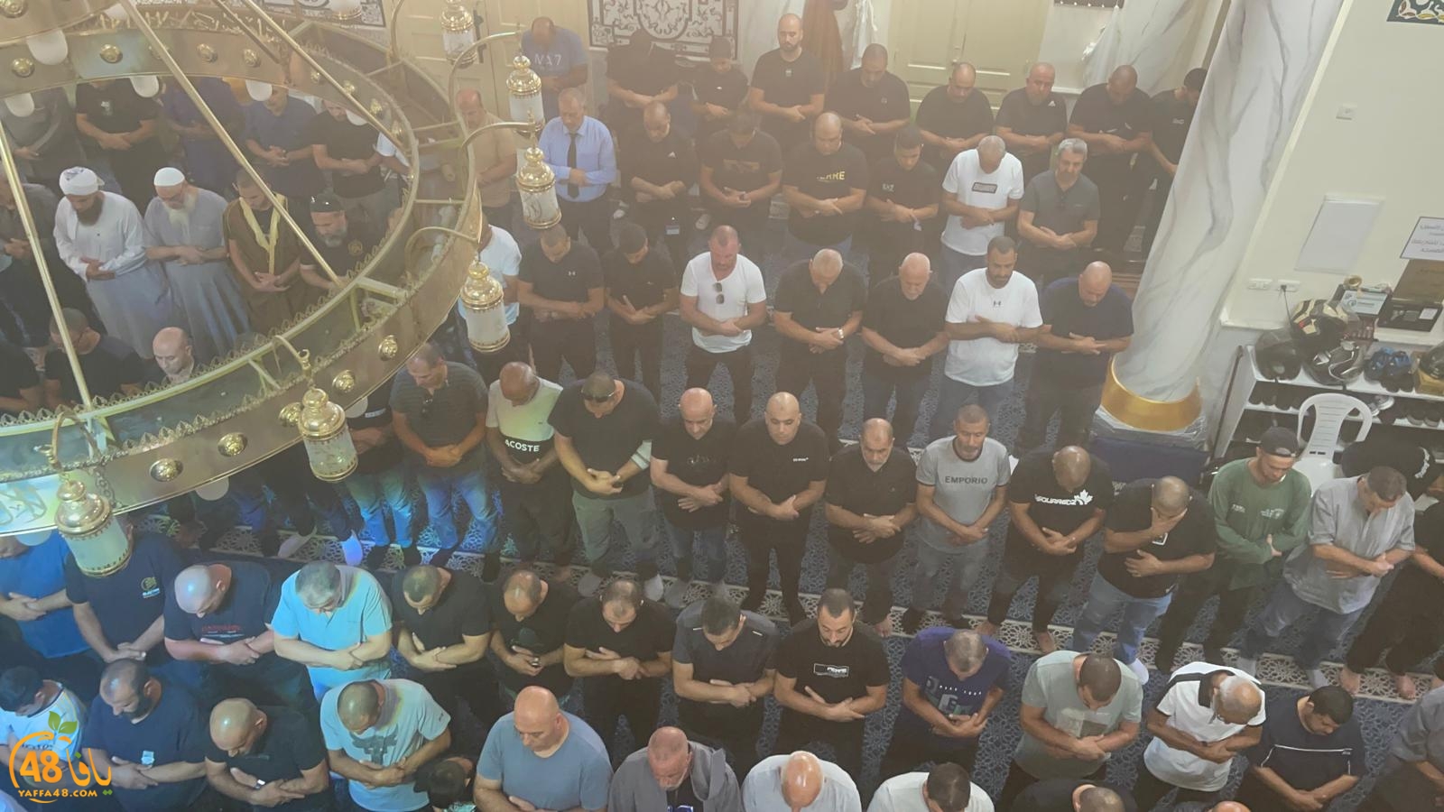 WhatsApp Image 2023-10-12 at 12.00.18 PM (2).jpeg